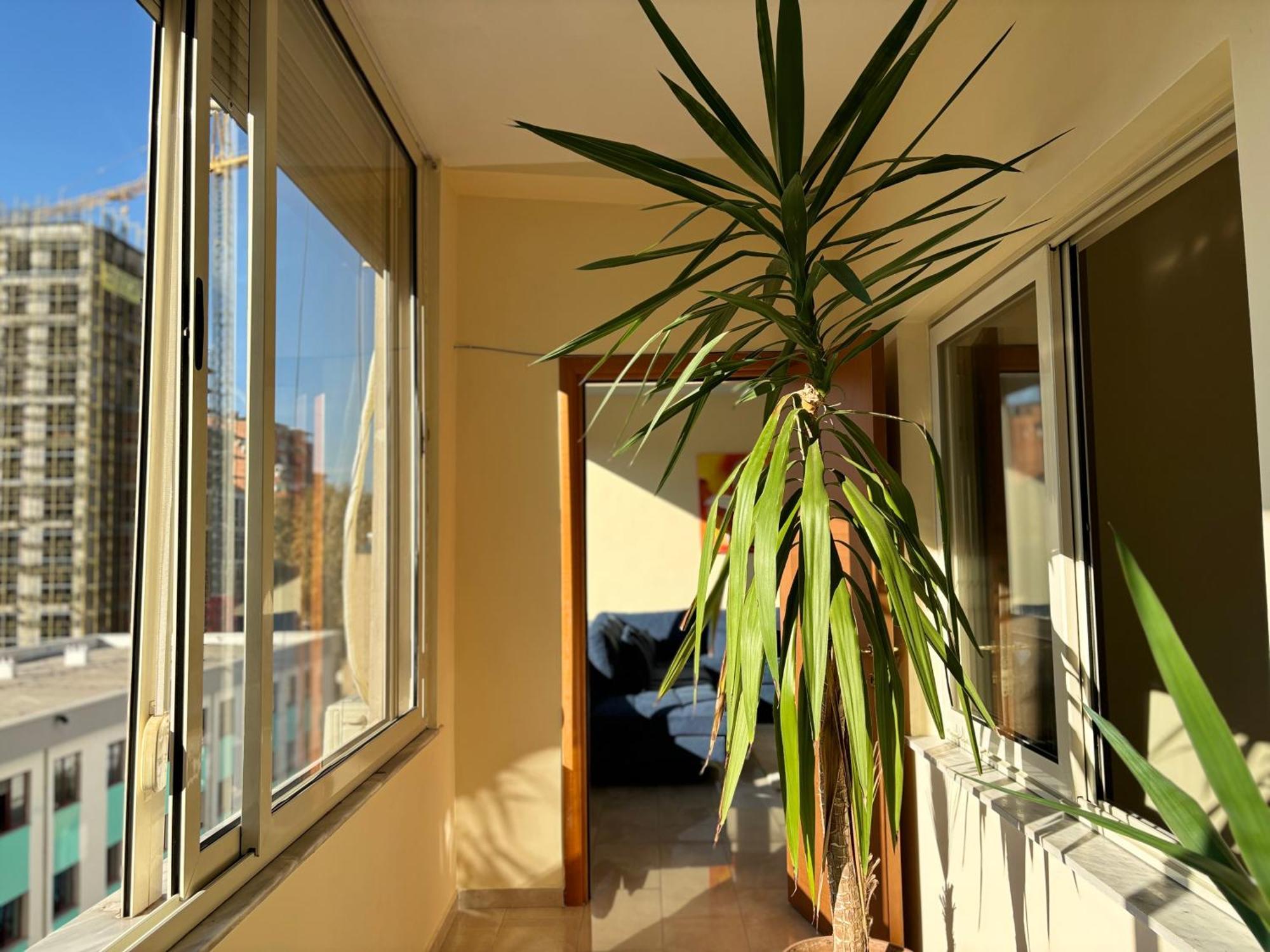 Tam 2Bdr Center Taiwan Apartment Tirana Esterno foto
